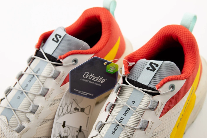 Buty męskie Salomon Sense Ride 5 do biegania w terenie beżowe